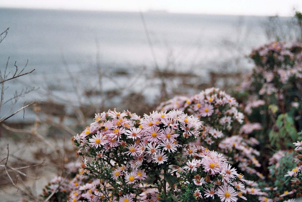 How to welcome mindfulness into your routine