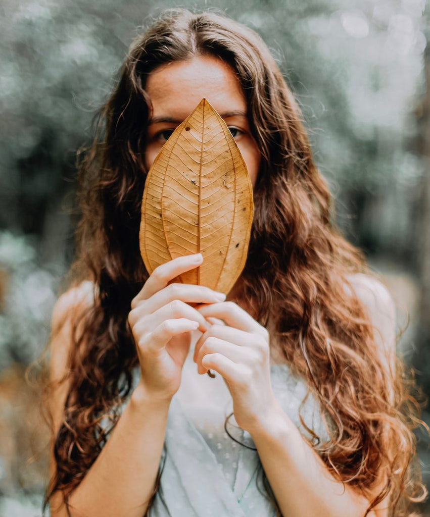 Why is scalp health important to your curls?